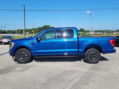 2023 FORD TRUCK F-150 XLT
