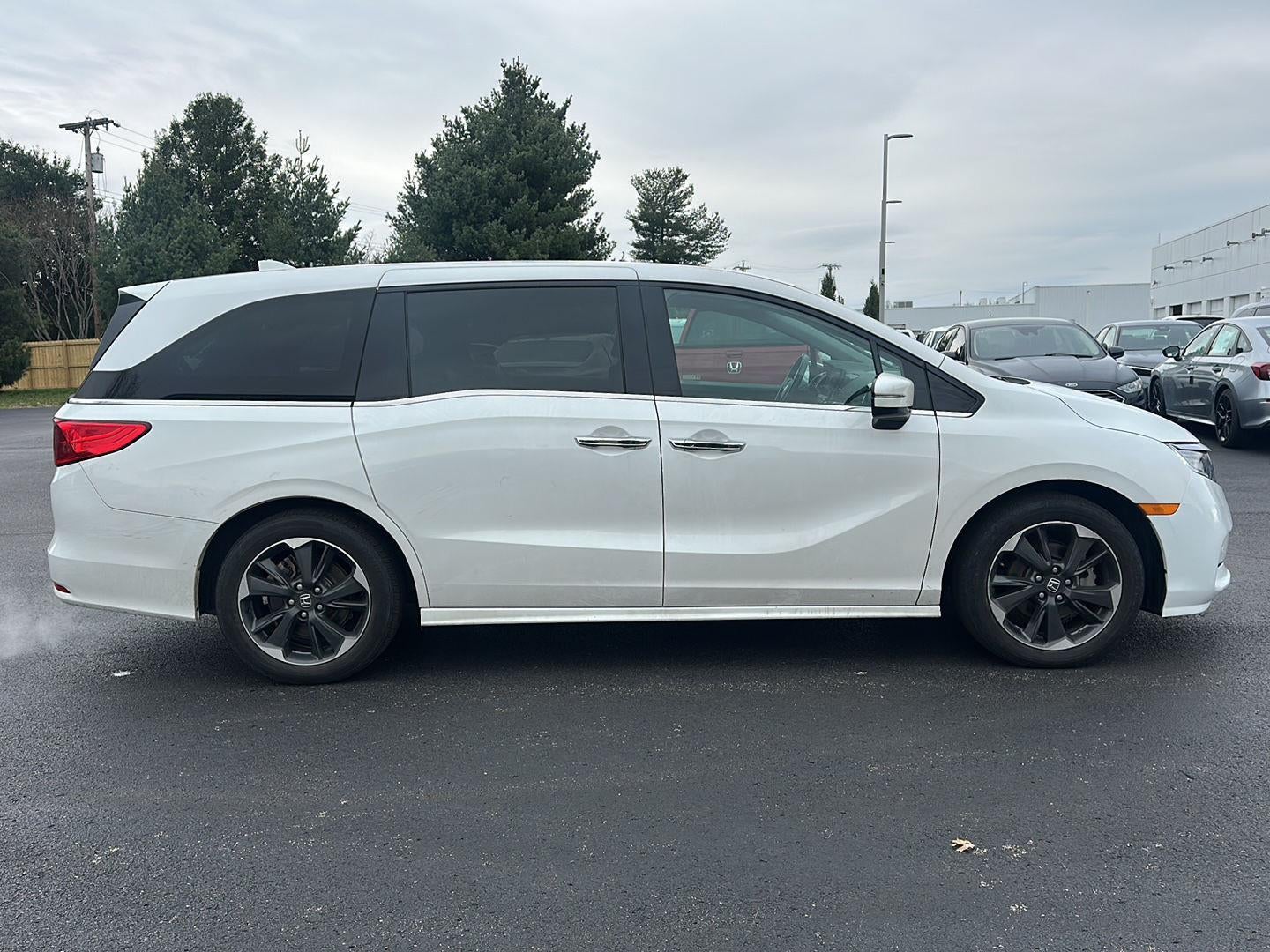 2023 Honda Odyssey Elite