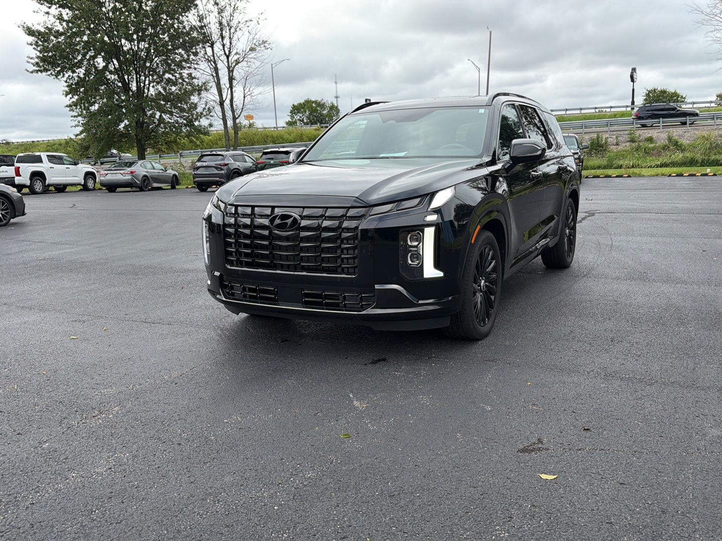 2025 Hyundai Palisade Calligraphy Night Edition